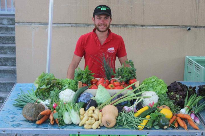 Fournisseur de fruits et légumes bio Rontalon