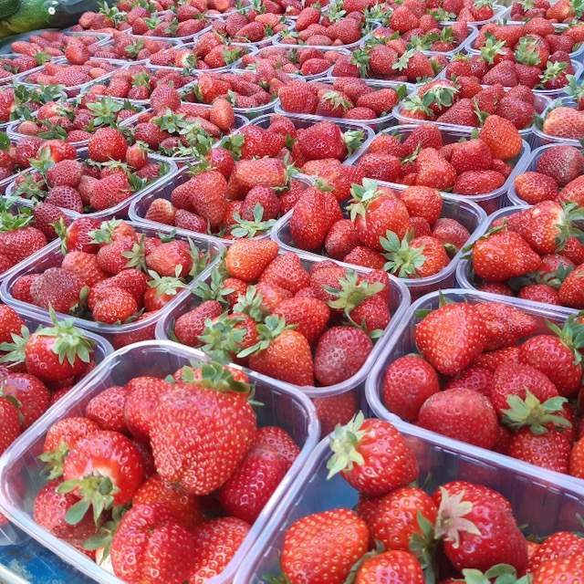 Resized 20250524 074758