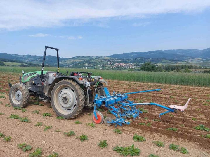 Fournisseur de légumes Rontalon