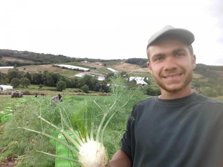 Producteur de légumes Rontalon