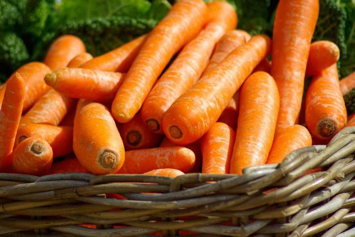 Fournisseur de légumes Rontalon