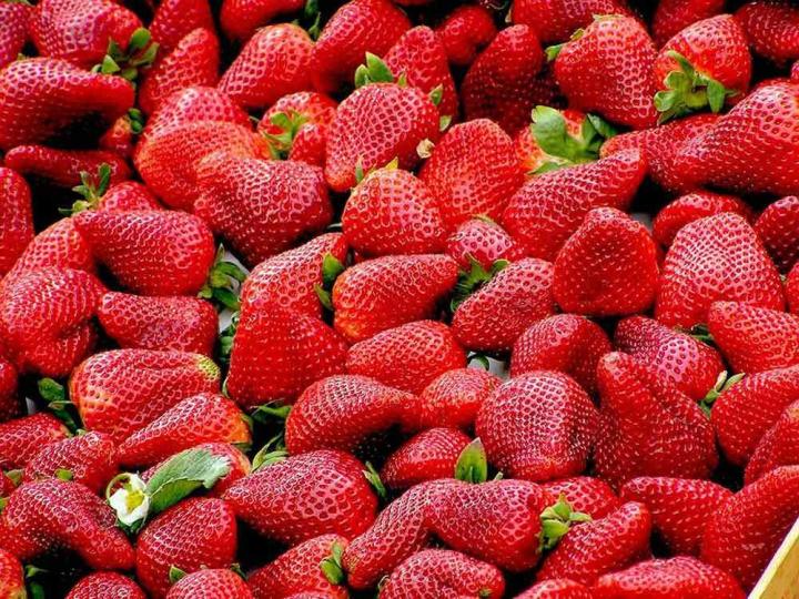 Fournisseur de fruits frais près de chez vous.