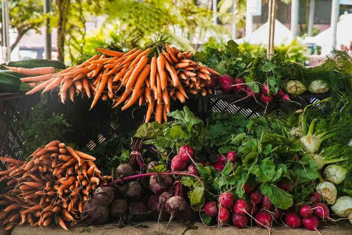 Partenaire fiable pour tous vos besoins de légumes.