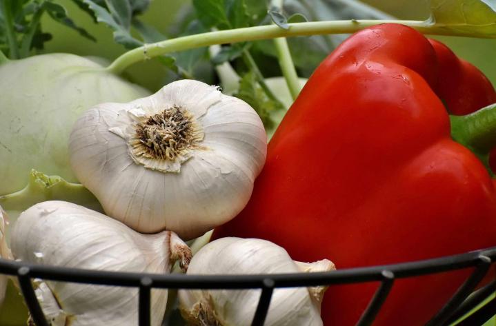 Fournisseur de fruits et légumes bio Rontalon